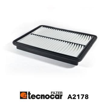 Tecnocar Filtro Aria Motore Kia A2178