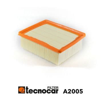 Tecnocar Filtro Aria Motore Psa A2005