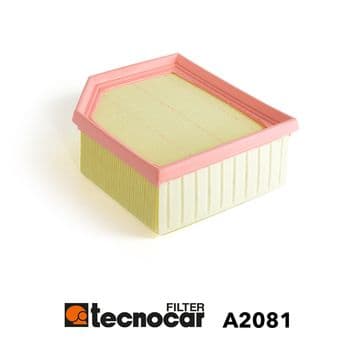 Tecnocar Filtro Aria Motore Psa A2081