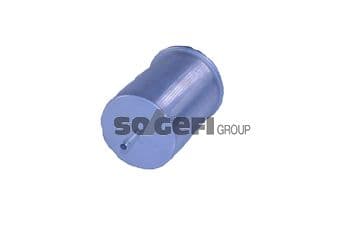 Tecnocar Filtro Benzina Renault B99