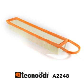 Tecnocar Filtro Aria Motore Psa A2248