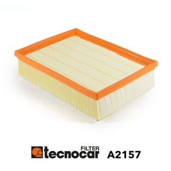 Tecnocar Filtro Aria Motore Psa A2157
