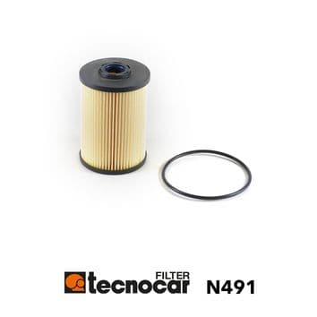 Tecnocar Filtro Gasolio Psa N491