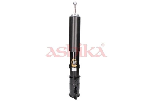 Ashika Ashika Ma-00773