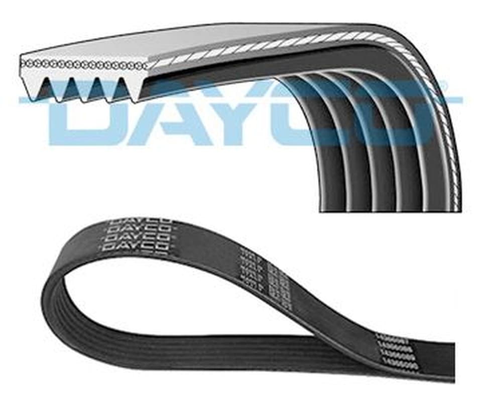 Dayco Cinghia Trapezoidale Pv 5Pk1635