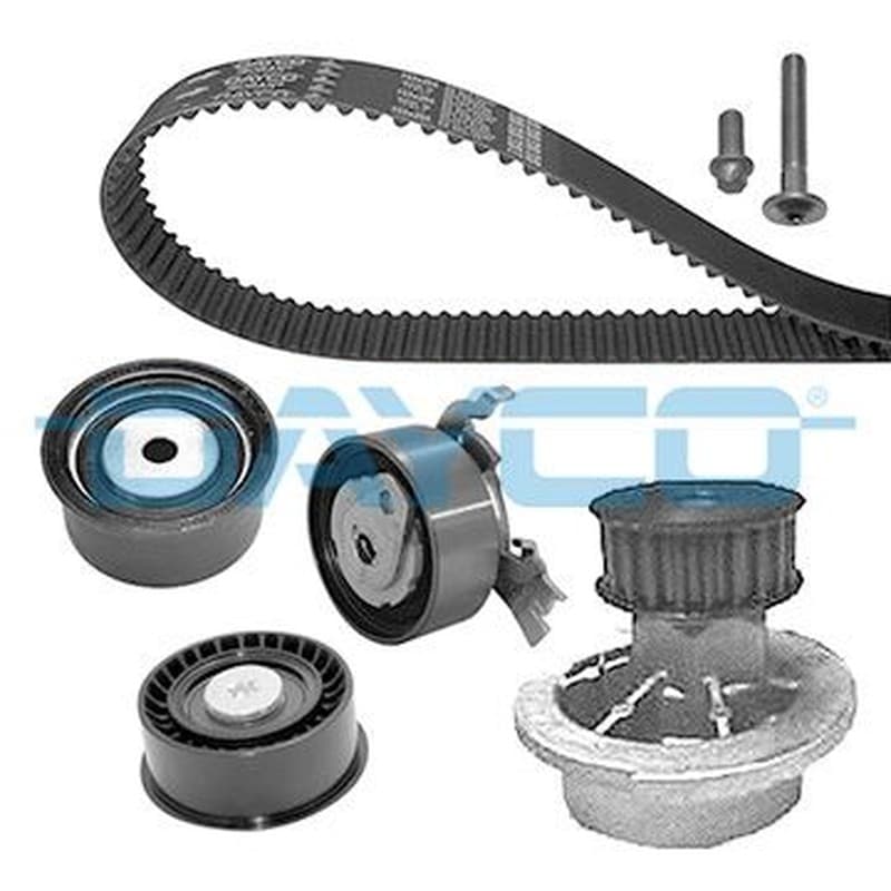 Dayco Kit Di Distribuzione Ktbwp2520