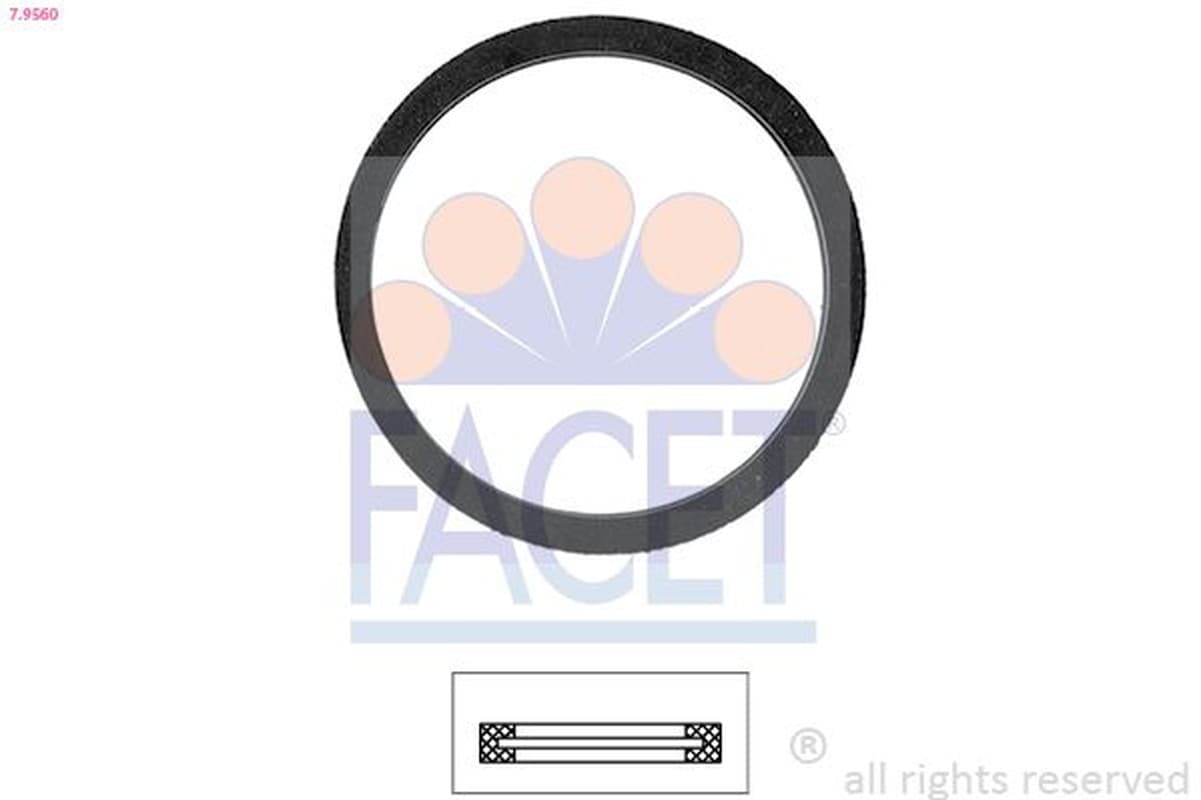 Facet Guarnizione Citroen Peugeot 79560