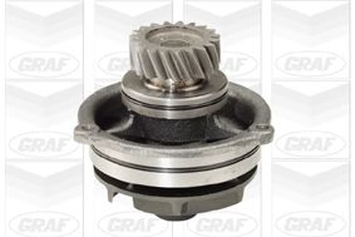 Graf Iveco: Turbostar 190.36 (84-93) - Turbotech 190.36 Pa848