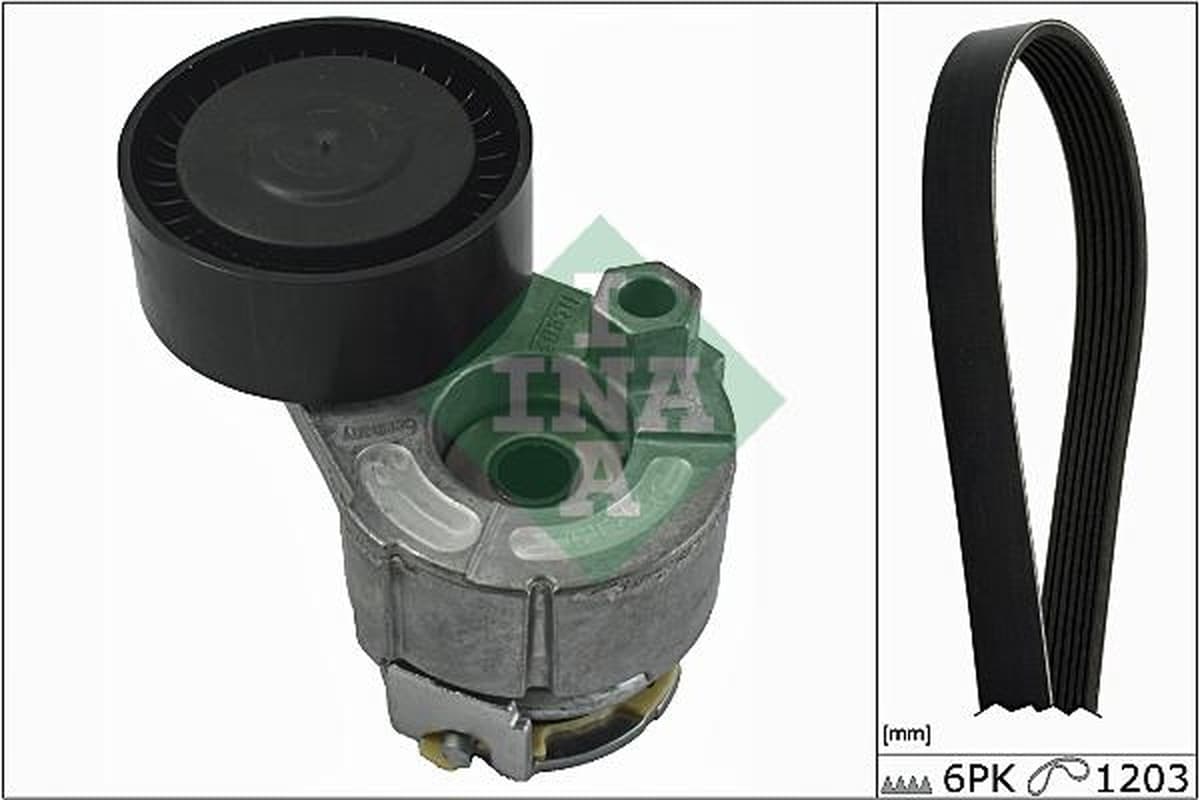 Ina Kit Cinghie Poly-V Nissan Qashqai / Qashqai +2 (J1 529000910