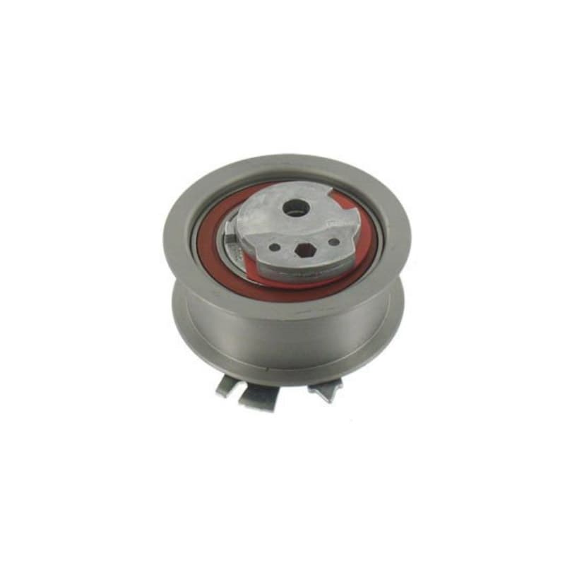 Dayco Tenditori Apv1075