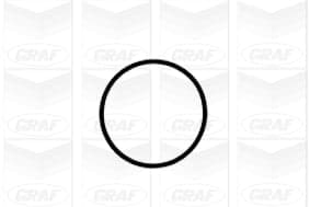 Graf Pompa Acqua Audi A3 Ii Pa1041