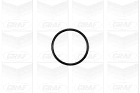 Graf Toyota: Avensis 1.8 16V (97-03) - Carina 1.8 16V ( Pa1047