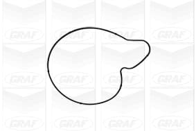 Graf Pompa Acqua Audi A4 Pa1050