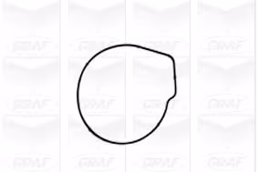 Graf Pompa Acqua Audi A3 Pa1051