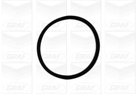 Graf Pompa Acqua Iveco Pa1060