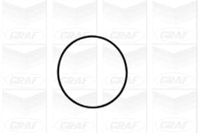 Graf Pompa Acqua Chevrolet Lacetti Nubira 1.8 Pa1061