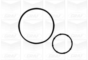 Graf Pompa Acqua Hyundai I10/ I20 Crdi -Kia Picanto /Ce Pa1078