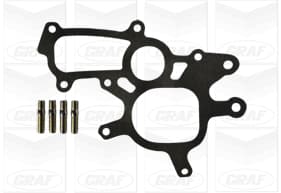 Graf Pompa Acqua Toyota Land Cruiser Pa1080