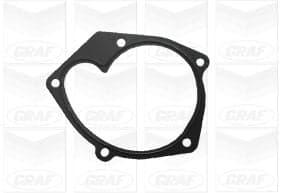 Graf Pompa Acqua Renault Scenic Con Cusc. Rinforzato Pa1087