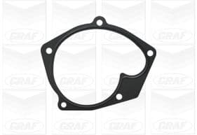 Graf Pompa Acqua Renault Grand Scenic Ii 1.9/ Megane Ii Pa1095