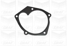 Graf Pompa Acqua Renault Scenic Con Cusc. Rinforzato Pa1097