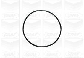 Graf Pompa Acqua Mitsubishi Lcv Canter 3.6/3.9 Tdi Pa1114