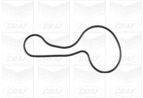 Graf Pompa Acqua Honda Civic Vii- Jazz Iv Pa1119