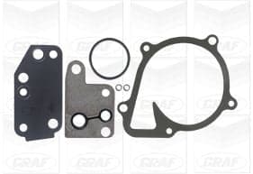 Graf Pompa Acqua Ford Transit Vii 2.4 Tdci S/Coperchio Pa1121