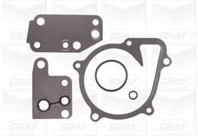 Graf Pompa Acqua Ford Transit Viii 3.2 Tdci Solo Corpo Pa1122