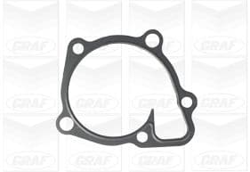 Graf Pompa Acqua Citroen / Peugeot Pa1135