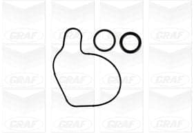Graf Pompa Acqua Audi A4 Pa1153