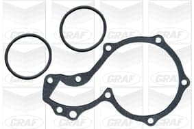 Graf 'Audi: 100 1.6 Pa279