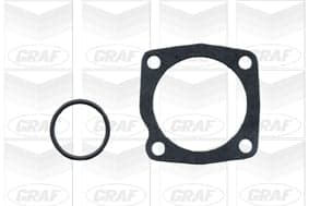Graf Fiat: Croma 1.9 Td I.D. (85-96) Pa378A