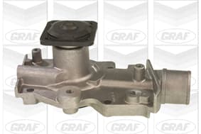 Graf 'Ford: Escort 1.6I 16V, Cabrio, Sw Pa501