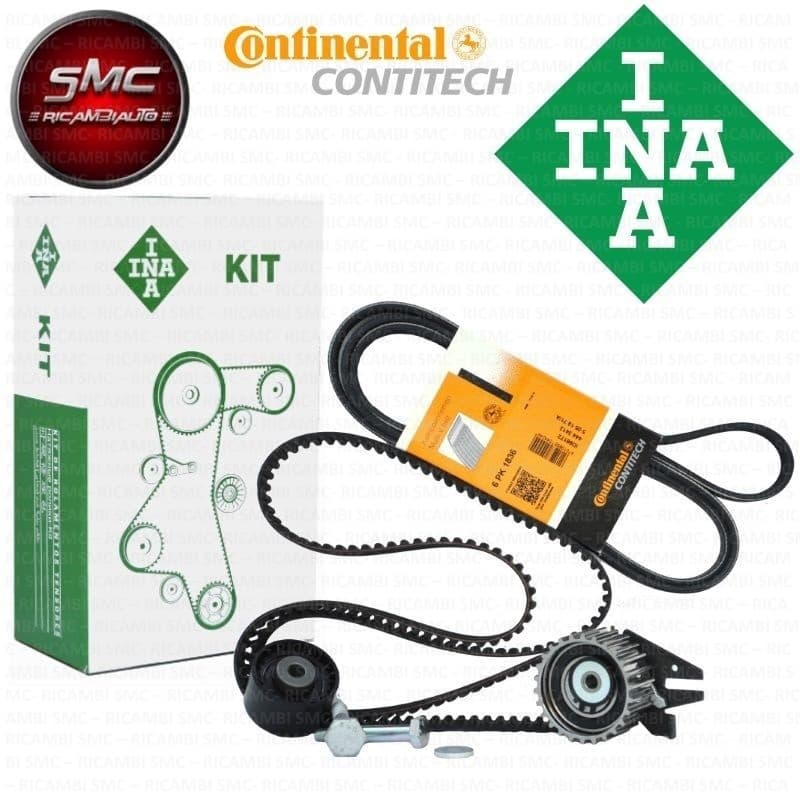 Kit Distribuzione Completa Ina Kdi1_K+S