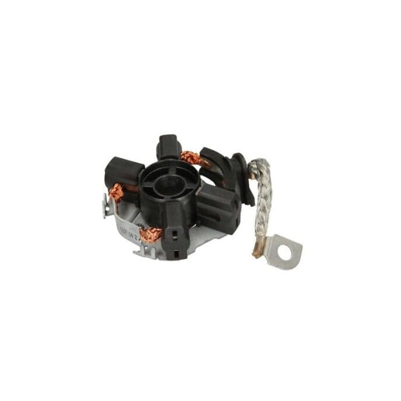 Bosch Supporto, Spazzole In Carbone 1004336678