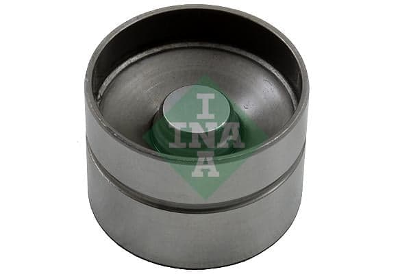 Ina Punteria 420004010