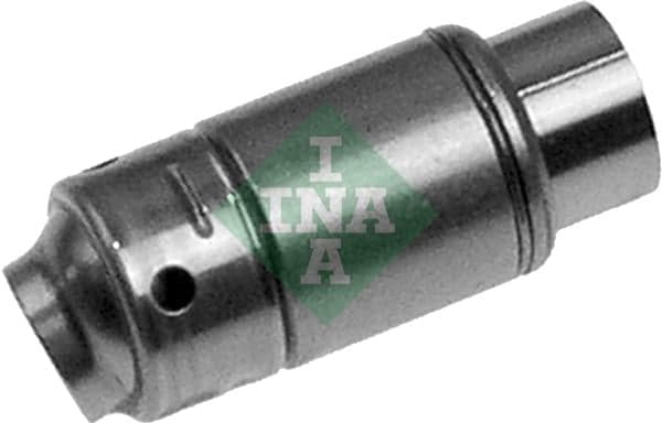 Ina Punteria 420006310