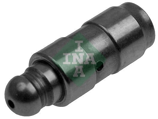 Ina Punteria 420008710