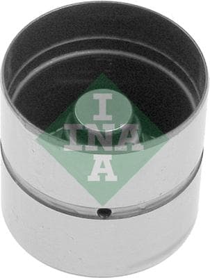Ina Punteria 420010610