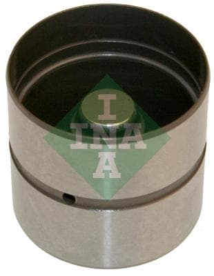 Ina Punteria 420022010