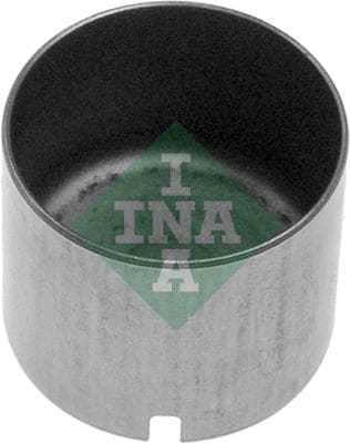Ina Punteria 421001210
