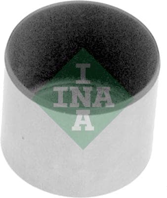 Ina Punteria 421002910