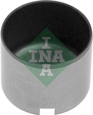 Ina Punteria 421004110