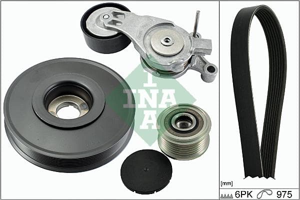 Ina Kit Cinghie Poly-V Citroen C3 I (Fc_) 1.4 Hdi (02. 529006510