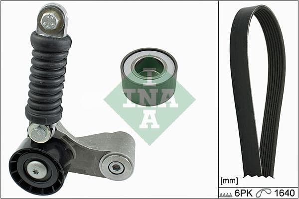 Ina Renault Scenic I (Ja0/1_) 1.9 Dci (Ja05, Ja1F) (09 529009310
