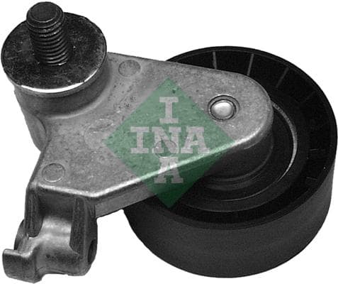 Ina Cuscinetti Tendicinghia 531017110