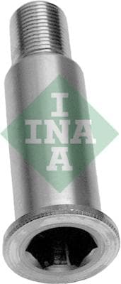 Ina Cuscinetti Tendicinghia 533006420
