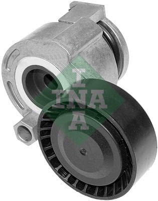 Tendicinghia Ina 534026910 Per Dacia, Renault