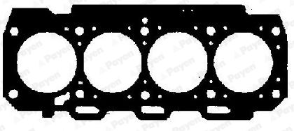PAYEAA5571